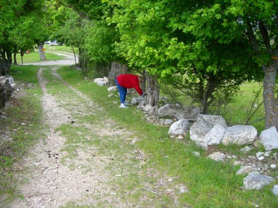 2006 La montée au Lavoir
